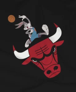 Loyalist The Bulls X Space Jam Long Sleeve T-Shirt