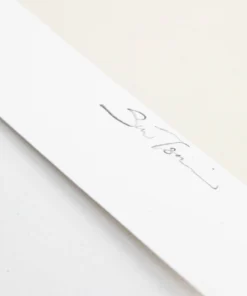 The Loyalist Sue Tsai Knicks Print (Limited To 75) 13 The Loyalist Sue Tsai Knicks Print (Limited To 75)